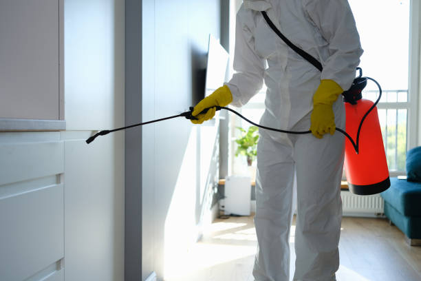 Best Residential Mold Removal  in Bridgehampton, NY